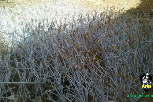 حفاظ دیوار در اصفهان